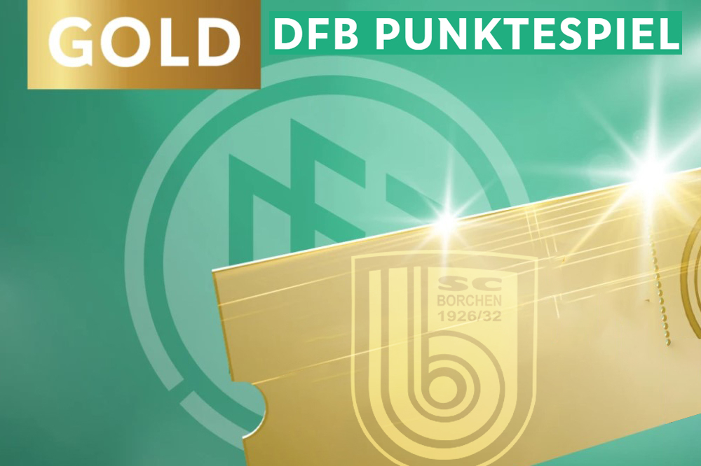 Gold-Level erreicht: SCB holt über 140 Zähler beim DFB-Punktespiel